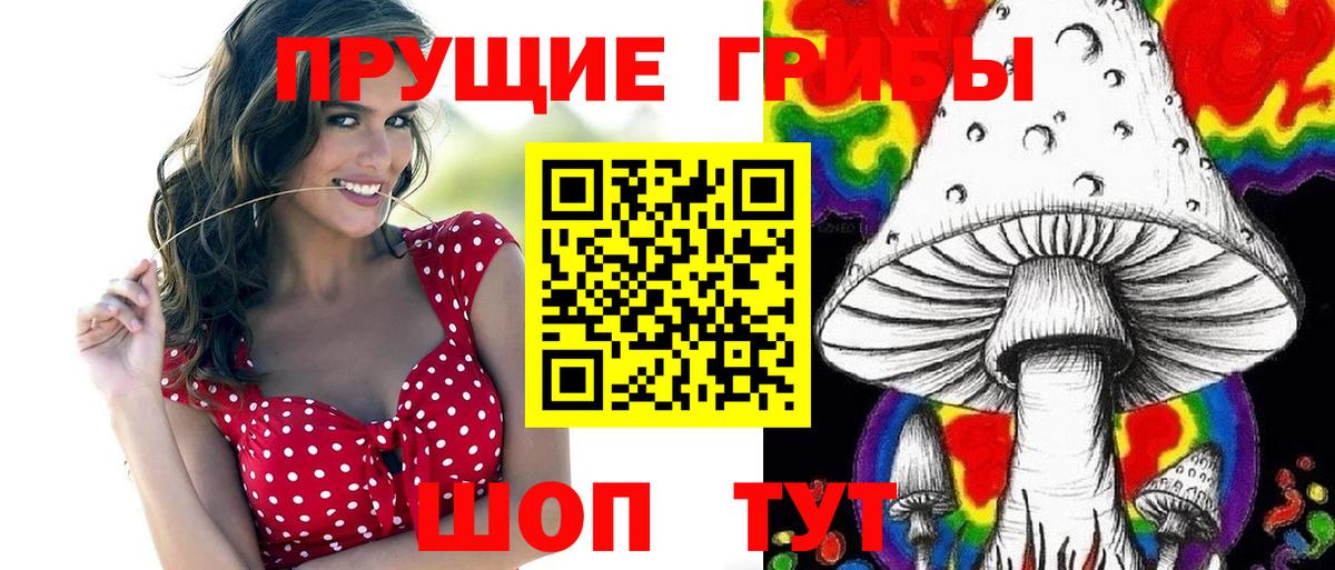Галлюциногенные грибы Psilocybe Кропоткин